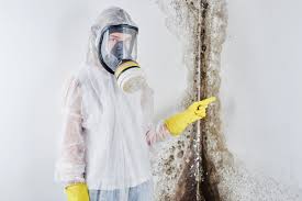 Roebling, NJ Mold Removal Company